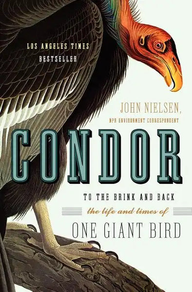 Condor: To the Brink and Back--The Life and Times of One Giant Bird - Paperback