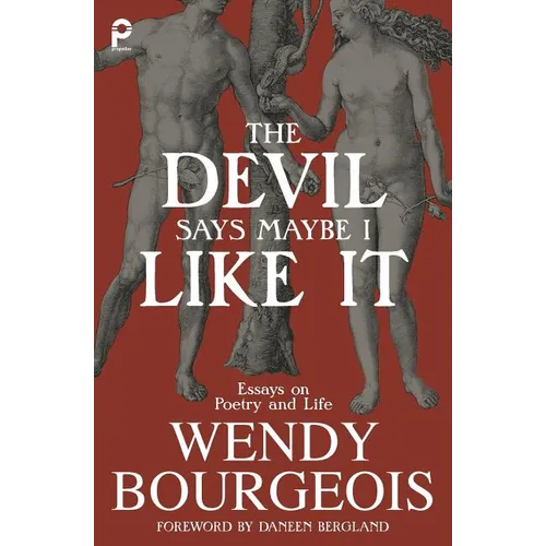 The Devil Says Maybe I Like It: Essays on Poetry and Life - Paperback