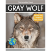 Gray Wolf: Fascinating Animal Facts for Kids - Paperback