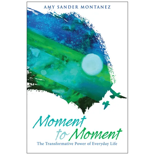 Moment to Moment: The Transformative Power of Everyday Life - Paperback