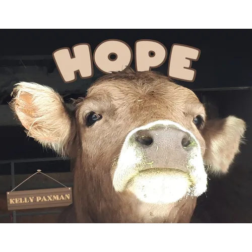 Hope - Paperback