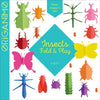 Insects: Fold & Play - Paperback