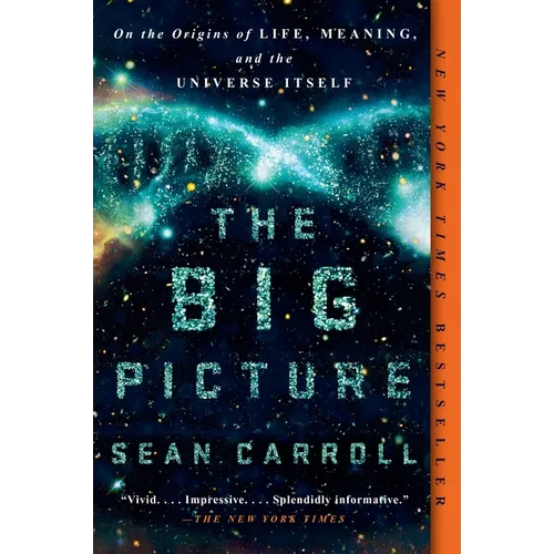 The Big Picture: On the Origins of Life, Meaning, and the Universe Itself - Paperback