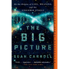 The Big Picture: On the Origins of Life, Meaning, and the Universe Itself - Paperback