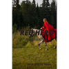 Red Hero: Story of a Girl from a Hidden Hero to a Teenage Queen - Paperback