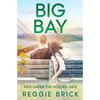 Big Bay Fate Under the Golden Gate - Paperback