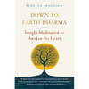 Down to Earth Dharma: Insight Meditation to Awaken the Heart - Paperback