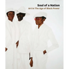 Soul of a Nation: Art in the Age of Black Power - Hardcover