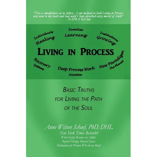 Living in Process: Basic Truths for Living the Path of the Soul - Paperback