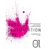 HubSpot Certification Guide: The entire preparation for the HubSpot Tool Certification in 8 days - Paperback