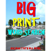 Big Print Word Search: 133 Entertaining Themed Puzzles - Paperback