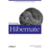 Harnessing Hibernate: Step-By-Step Guide to Java Persistence - Paperback
