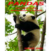 Pandas: Learn About Pandas Amazing Pictures & Fun Facts - Paperback
