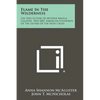 Flame In The Wilderness: Life And Letters Of Mother Angela Gillespie, 1824-1887, American Foundress Of The Sisters Of The Holy Cross - Paperback