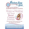 Chicken Soup for the Soul: Hope & Healing for Your Breast Cancer Journey: Surviving and Thriving During and After Your Diagnosis and Treatment - Paperback