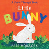 Little Bunny - Board Book