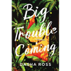 Big Trouble Coming: An accidental adventure of love and mayhem in Sri Lanka - Paperback