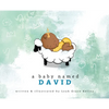 A Baby Named David - Hardcover