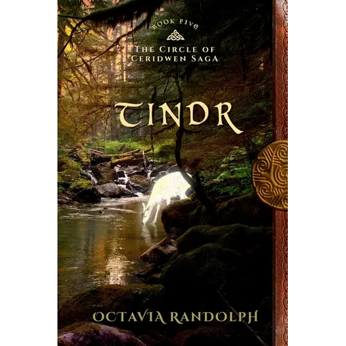 Tindr: Book Five of The Circle of Ceridwen Saga - Paperback