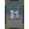 What Dreams May Come - Paperback