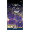 A Field Guide to Marine Life of the Outer Coasts of the Salish Sea and Beyond - Paperback