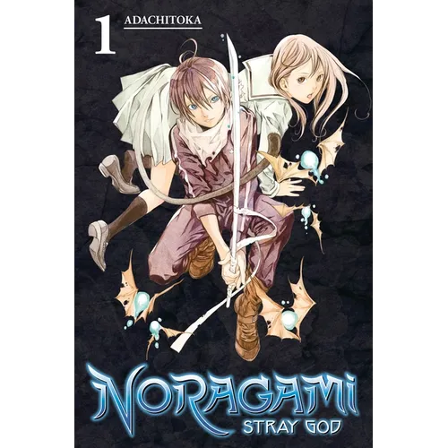 Noragami: Stray God 1 - Paperback