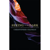 Seeing in the Dark: Pastoral Perspectives on Suffering from the Christian Spiritual Tradition - Paperback
