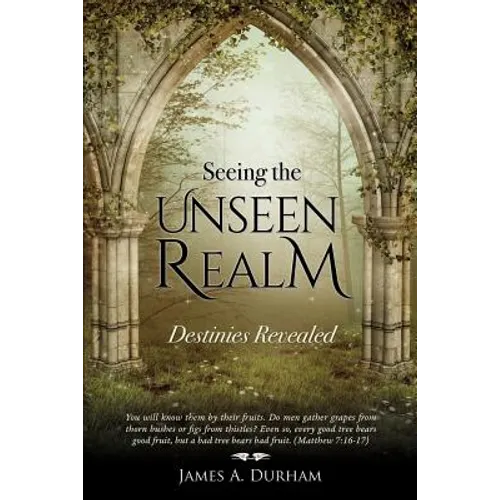 Seeing the Unseen Realm - Paperback