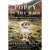 Poppy in the Wild: A Lost Dog, Fifteen Hundred Acres of Wilderness, and the Dogged Determination That Brought Her Home - Paperback