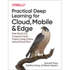 Practical Deep Learning for Cloud, Mobile, and Edge: Real-World AI & Computer-Vision Projects Using Python, Keras & Tensorflow - Paperback