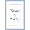 Theory and Practice - Paperback