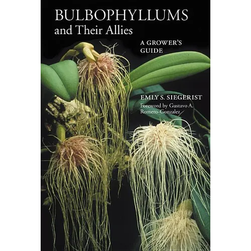 Bulbophyllums and Their Allies - Paperback