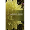 Traditional Chinese Medicine: A Woman's Guide to a Hormone-Free Menopause - Paperback