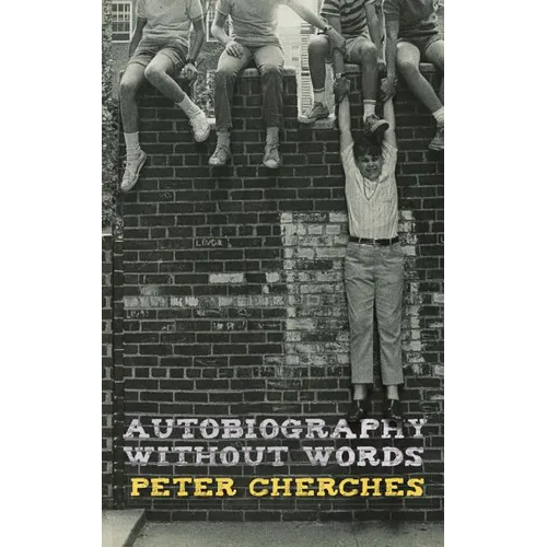 Autobiography Without Words - Paperback