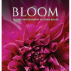 Bloom: Flower Photography by Chris Miller - Hardcover