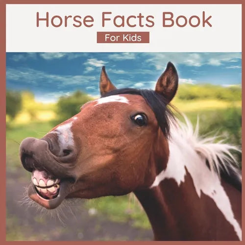 Horse Facts Book For Kids: Fun Facts About Horses - Picture Book for Children - Paperback
