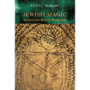 Jewish Magic before the Rise of Kabbalah - Hardcover