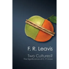 Two Cultures? - Paperback
