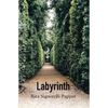 Labyrinth - Paperback