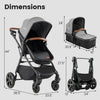 2-in-1 Convertible Baby Stroller with Car Seat Adapters