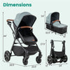 2-in-1 Convertible Baby Stroller with Car Seat Adapters