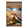 Octopus - Discover: Early reader's wildlife photography book - Paperback