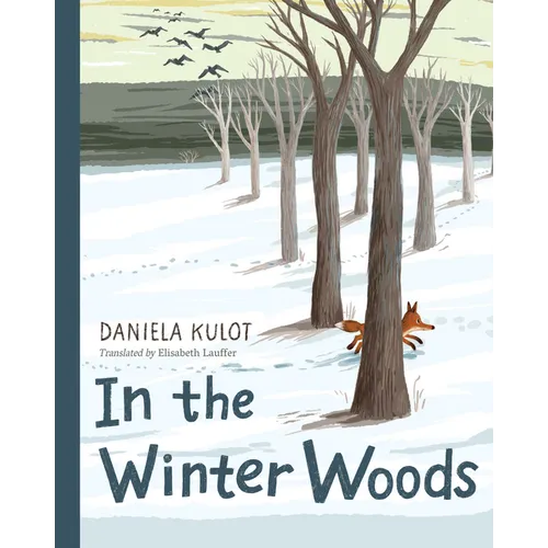 In the Winter Woods - Hardcover