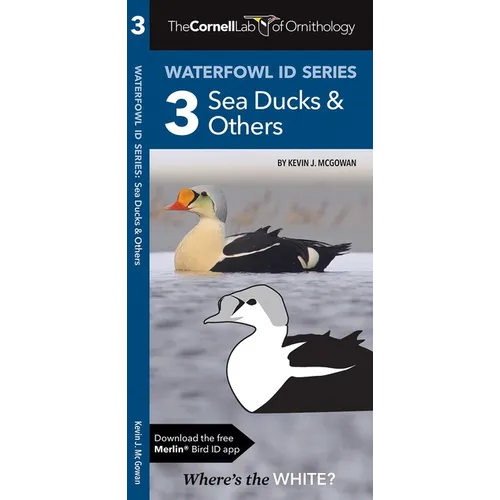 Cornell Lab of Ornithology Waterfowl Id Series: 3 Sea Ducks & Others: Cornell Lab of Ornithology Bird Id Series - Paperback
