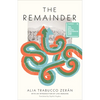 The Remainder - Paperback