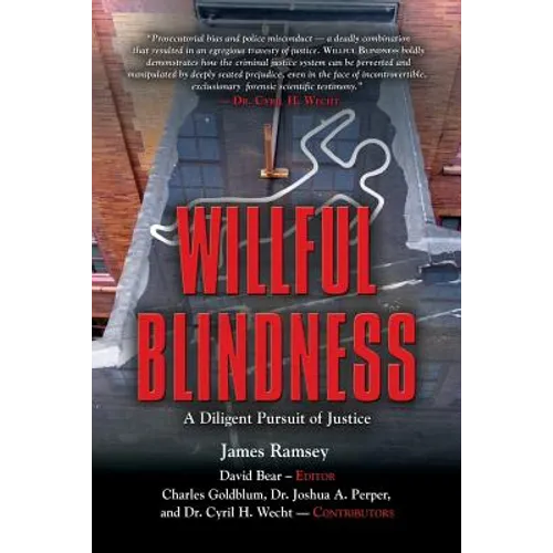 Willful Blindness: A Diligent Pursuit of Justice - Paperback
