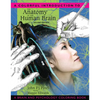 A Colorful Introduction to the Anatomy of the Human Brain: A Brain and Psychology Coloring Book - Paperback