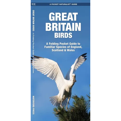 Great Britain Birds, 2nd Ed: A Folding Pocket Guide to Familiar Species of England, Scotland & Wales
