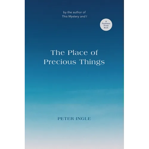 The Place of Precious Things - Paperback