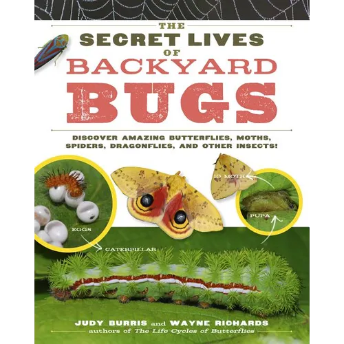 The Secret Lives of Backyard Bugs: Discover Amazing Butterflies, Moths, Spiders, Dragonflies, and Other Insects! - Paperback